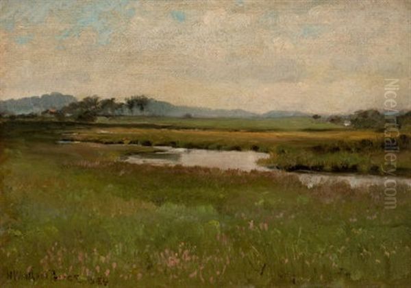 Revere Marshes - view 1