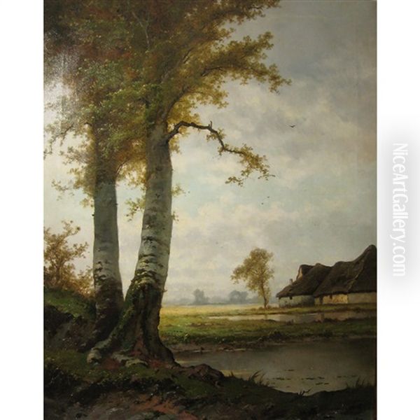 Landscape - view 1
