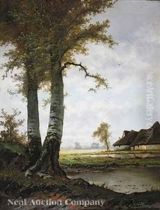 Birches