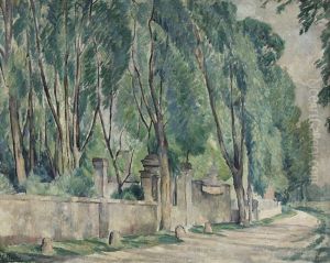 Paysage Arboree