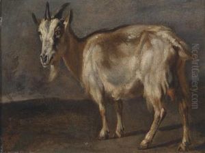 Study Of A Goat by Peeter Boel