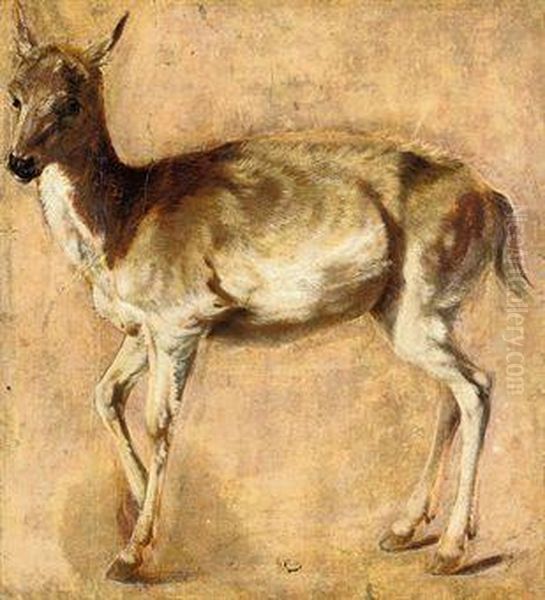 Study Of A Deer - view 1
