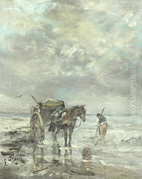 Collecting Seaweed - view 1