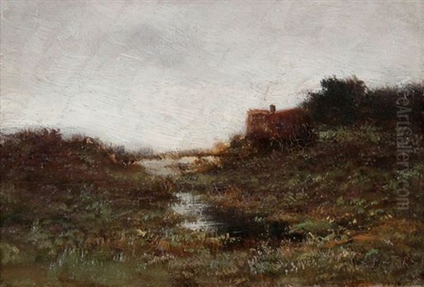 Dune View - view 1