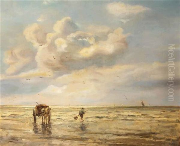 A Shell Fisher In The Surf - view 1