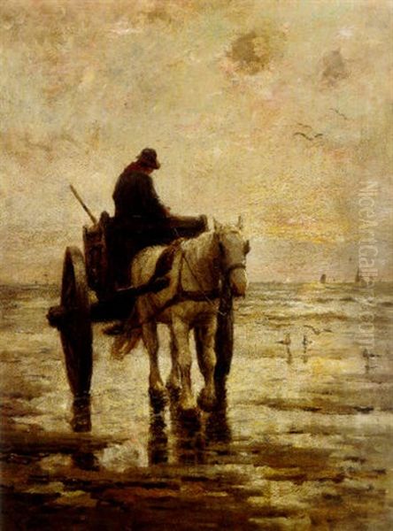 The Mussel Gatherer - view 1