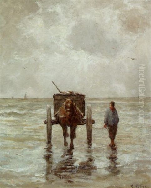 The Mussel Gatherer - view 1