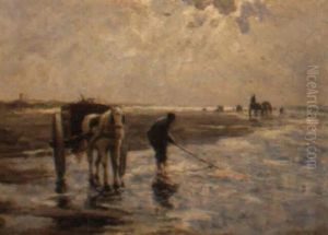 Shrimping At Low Tide