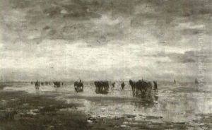 Clamming At Scheveningen