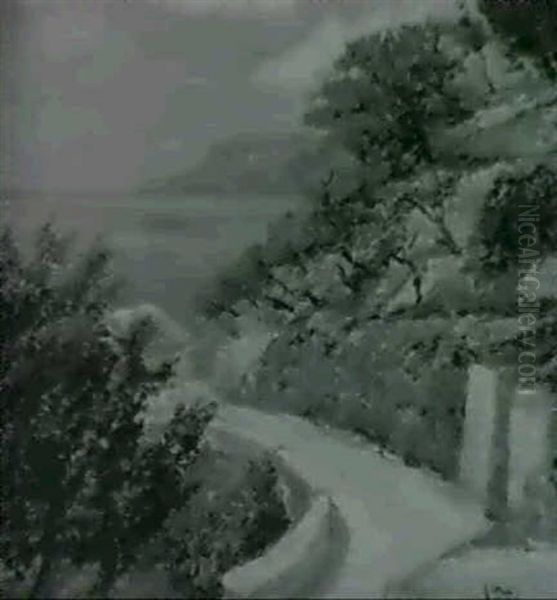 Coastal Scene - view 1