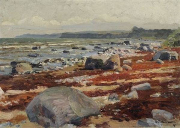 An Der Kuste Von Rugen - view 1