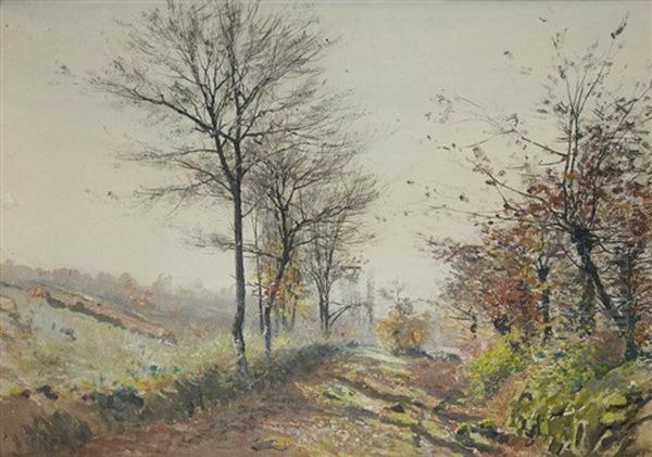 Paysage - view 1