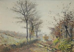 Paysage Paysage