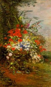 Fleurs Des Champs Fleurs Des Champs
