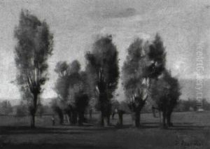 Genfer Landschaft Mit Weidengruppe Genfer Landschaft Mit Weidengruppe