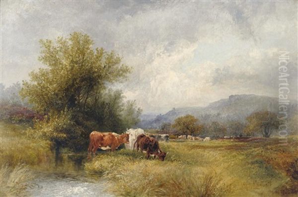 On The Longshaw Moors, Derbyshire - view 1