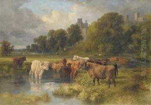 Cattle Grazing Near The River Wye, Haddon Hall Beyond