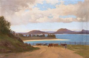 The Derwent River From Brown's River Road