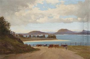 The Derwent From Brown's River Road