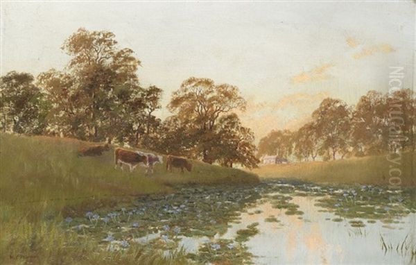 A Northern Lagoon, New South Wales - view 1