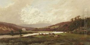 A Spring Morning, Lane Cove, New South Wales