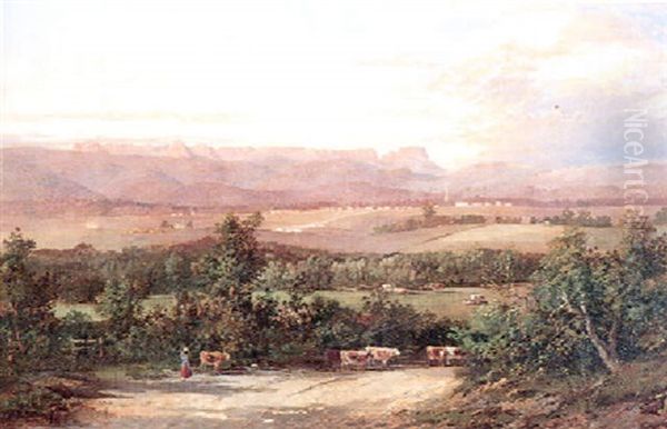 Ben Losmond, Tasmania - view 1
