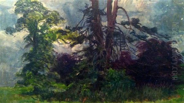 Landscape - view 1