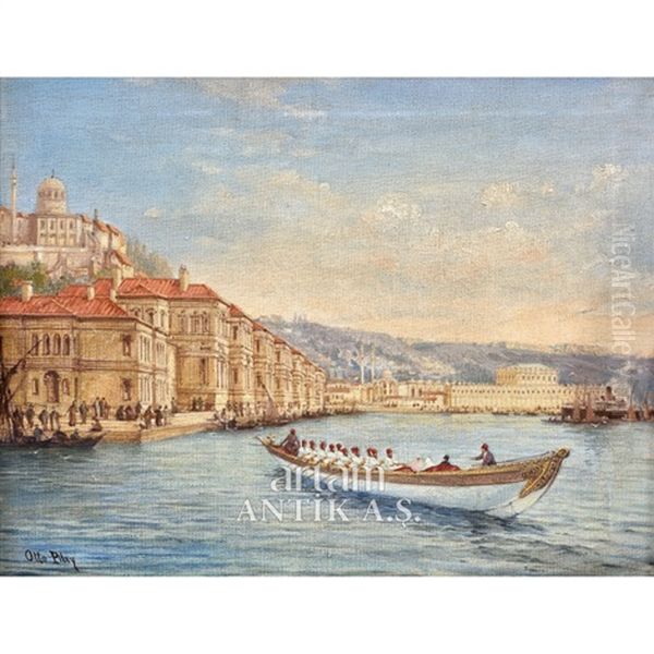Dolmabahce Sarayi Ve Saltanat - view 1