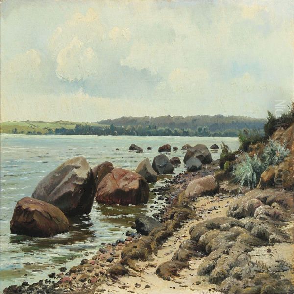 A Danish Beach Scenery At Spring Time - view 1