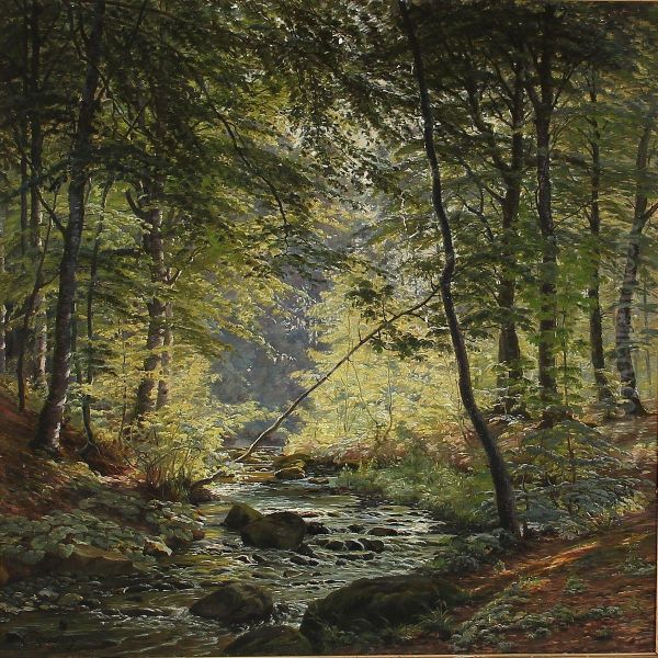 Stream In A Forest - view 1