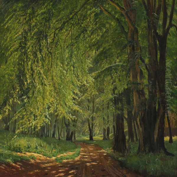 Forest Scenery A Summer Day - view 1