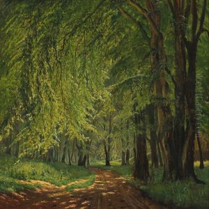 Forest Scenery A Summer Day by Johannes Boesen