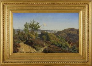Efteraarsmorgen Ved Vejile Fjord by Johannes Boesen