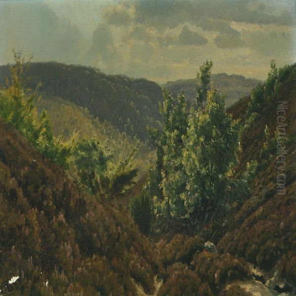 Cleft At Himmelbjerget - view 1