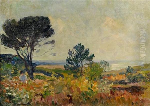 Landscape - view 1