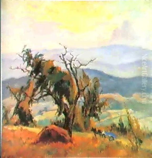 La Colline Des Maures, Paysagedu Midi - view 1
