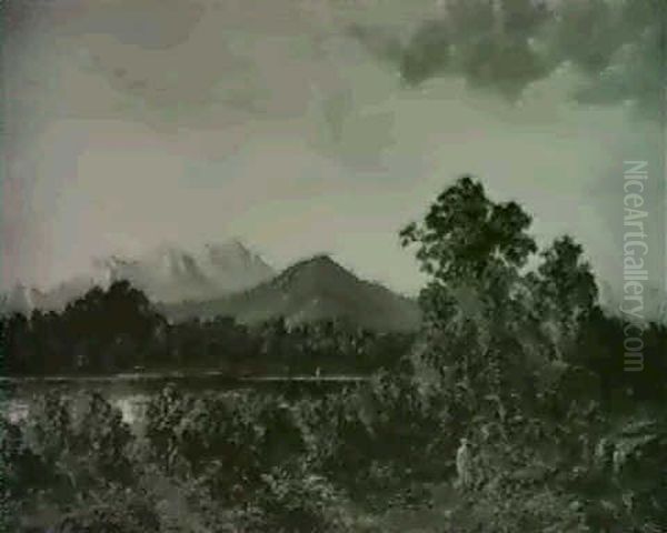 Glasshouse Mountains, Queensland - view 1