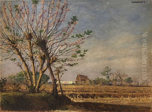 Kakawate - view 1