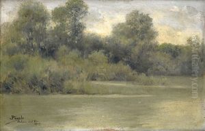 Paisaje Del Rio by Jose Pinelo Llull