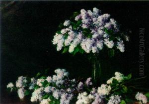 White And Purple Lilac White And Purple Lilac
