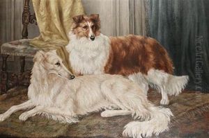 The Prince And The Pauper
