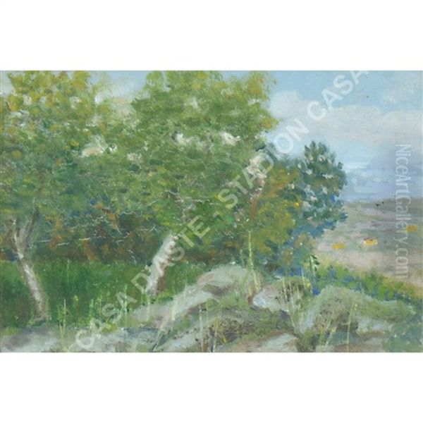 Campagna Con Alberi - view 1