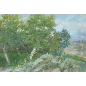 Campagna Con Alberi