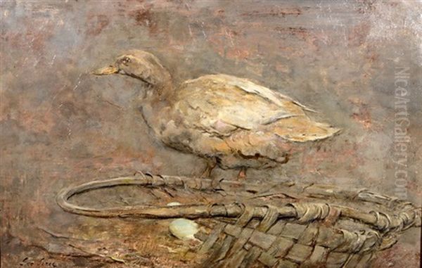 A Khaki Campbell Duck - view 1