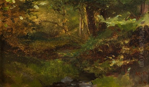 Waldbach - view 1