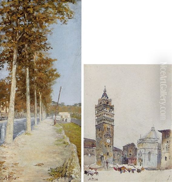 Strada Alberata - view 1