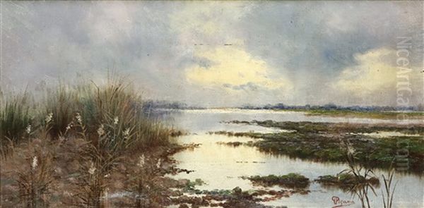 Palude - view 1