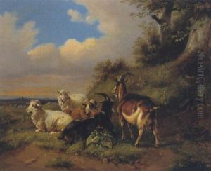 Ziegen Vor Einer Weiten Landschaft