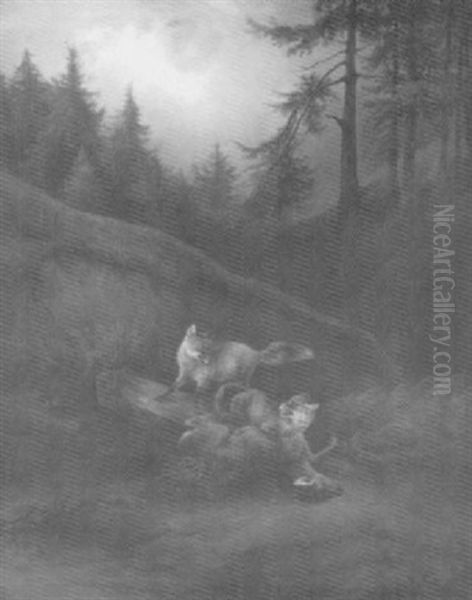 Spielende Fuchse Vor Einer Waldkulisse - view 1