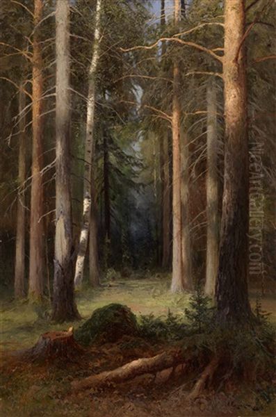 In A Pine Grove - view 1
